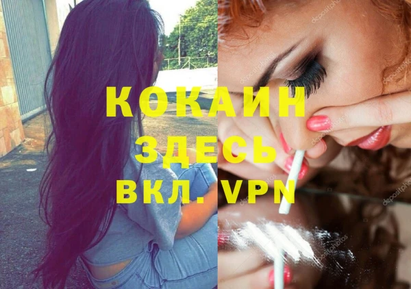 СК Протвино