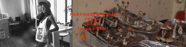 гашиш Алексеевка