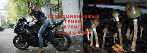 гашиш Алексеевка