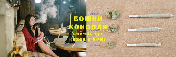 стафф Приозерск