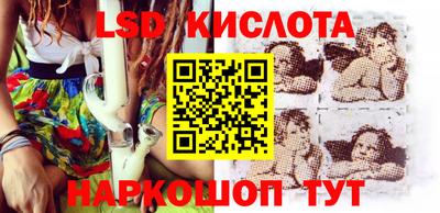 прущие грибы Кингисепп