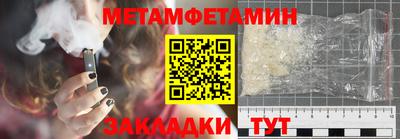 прущие грибы Кингисепп