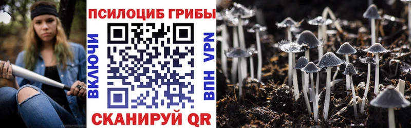 Псилоцибиновые грибы GOLDEN TEACHER  купить наркотик  Кропоткин 