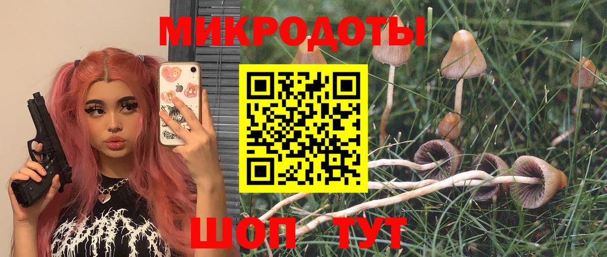 Галлюциногенные грибы Magic Shrooms Кропоткин