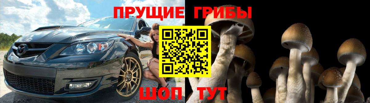 Псилоцибиновые грибы Cubensis  Вход с VPN  Кропоткин  Галлюциногенные грибы Magic Shrooms 